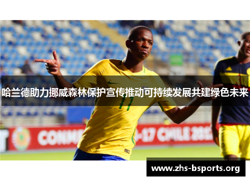 哈兰德助力挪威森林保护宣传推动可持续发展共建绿色未来 哈兰德助力挪威森林保护宣传推动可持续发展共建绿色未来