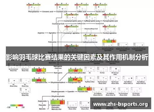 影响羽毛球比赛结果的关键因素及其作用机制分析 影响羽毛球比赛结果的关键因素及其作用机制分析