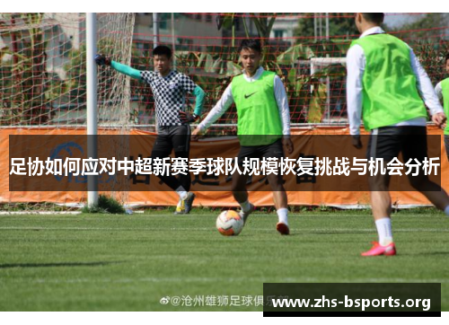 足协如何应对中超新赛季球队规模恢复挑战与机会分析 足协如何应对中超新赛季球队规模恢复挑战与机会分析